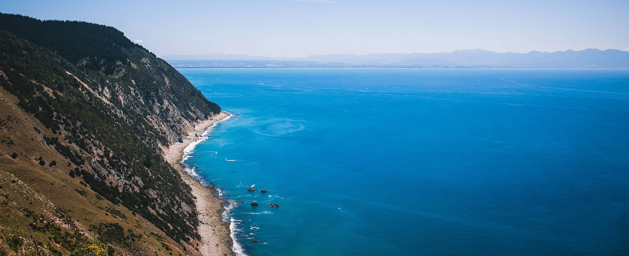 Cruise.com Blog Top Banner